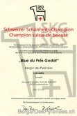 champion_suisse_de_beaute